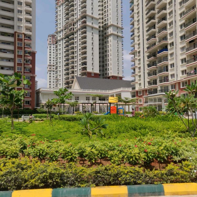 3 BHK Apartment For Rent in Prestige Lakeside Habitat