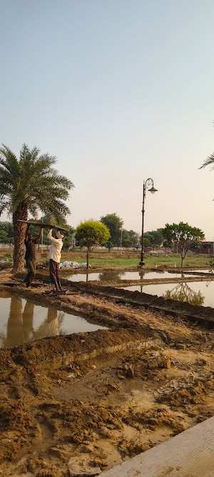  Plot For Sale in Sujanpur