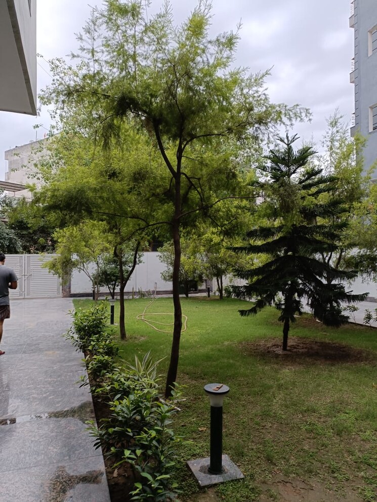 Garden, sector 15 1 RK 500 Sq.Ft. Builder Floor In Sector 15 Gurgaon 9494786