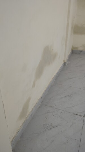 Building Lobby in 2 BHK Builder Floor at Kalkaji – for Rent