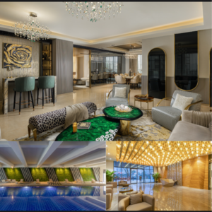 Living Room in 4 BHK Apartment at Tulip Crimson, Sector 70 – for Sale