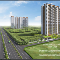 4 BHK + Servant Room Apartment For Sale in Tulip Crimson
