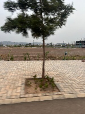  Plot – Exterior View View at Pinjore - for Sale