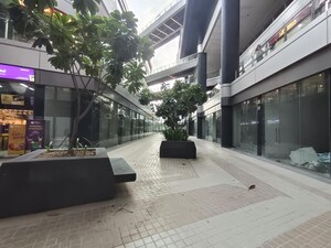 5 BHK Builder Floor – Exterior View View at Panchsheel Park - for Rent