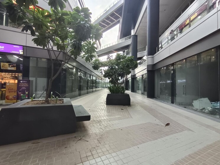 Exterior View, panchsheel park 5 Bedroom 800 Sq.Yd. Builder Floor In Panchsheel Park Delhi 9495457