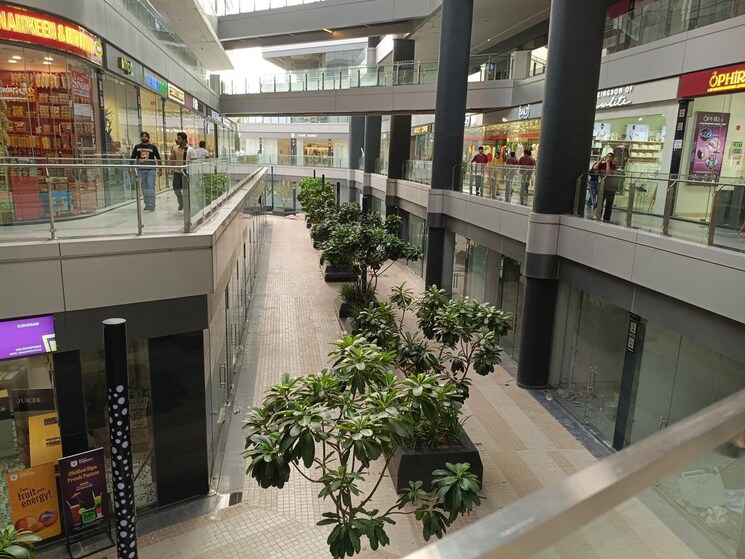 Balcony, panchsheel enclave 4 Bedroom 600 Sq.Yd. Builder Floor In Panchsheel Enclave Delhi 9495503