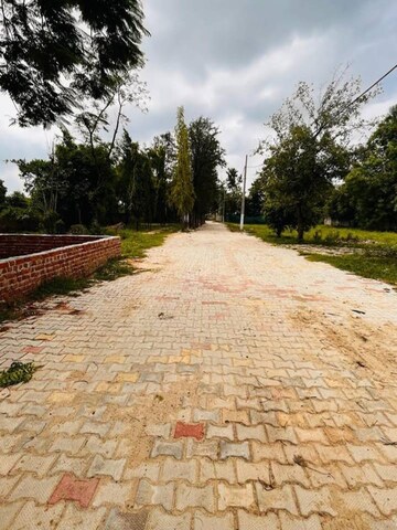 Plot Area in  Plot at Sohna Sector 36 – for Sale