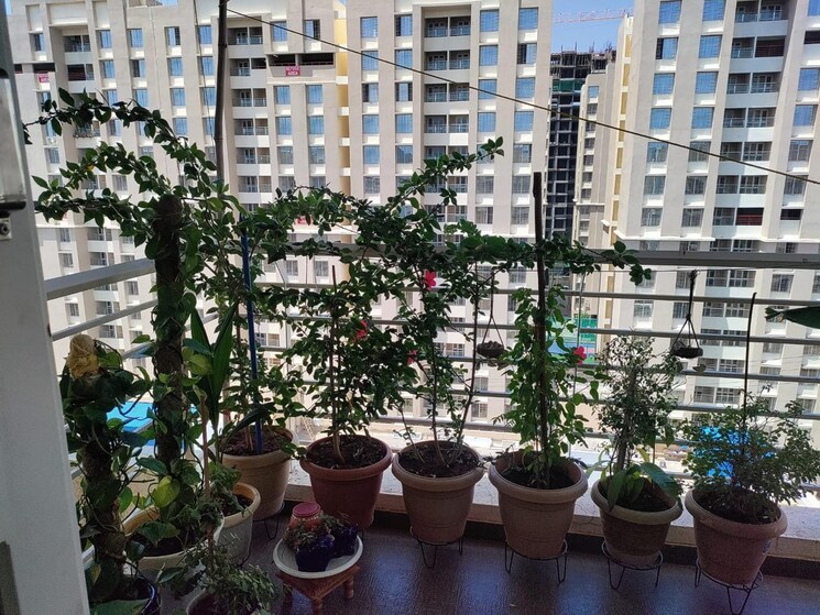 Exterior View, the-royal-miraj 2 Bedroom 950 Sq.Ft. Apartment In Wakad Pune 9497578