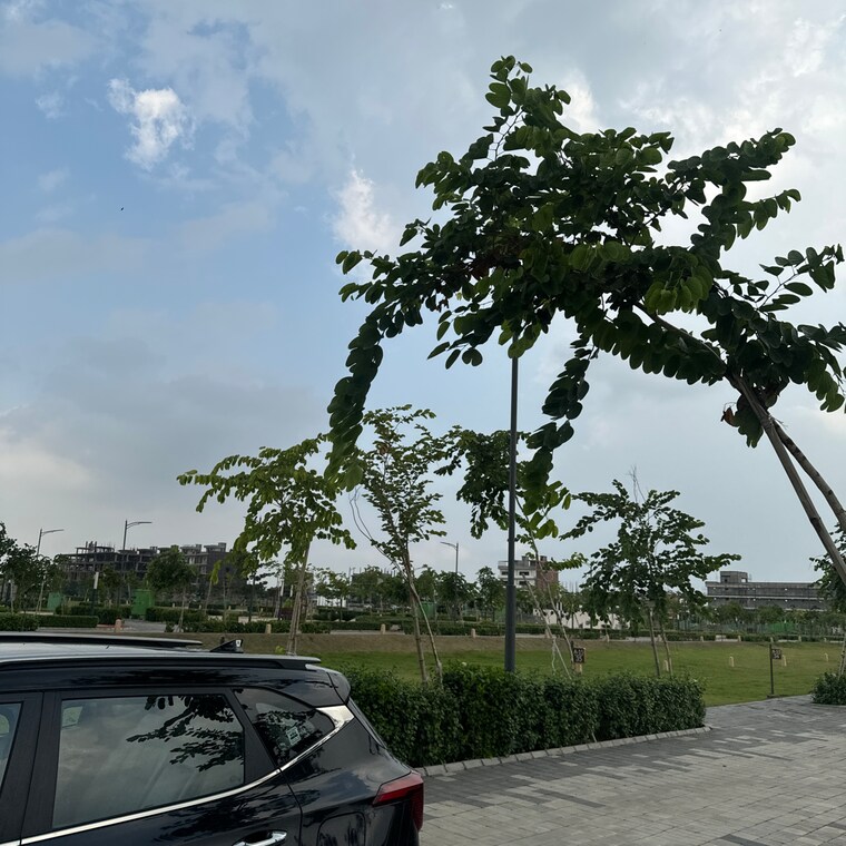 Exterior View, tdi city 3 Bedroom 180 Sq.Yd. Builder Floor In Tdi City Panipat 9498209