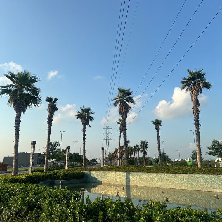 Garden, tdi city 3 Bedroom 179 Sq.Yd. Builder Floor In Tdi City Panipat 9498661