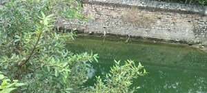  Plot For Sale in Uthiramerur