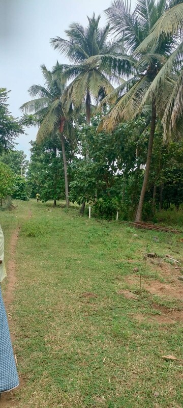  Plot – Garden View at Uthiramerur - for Sale