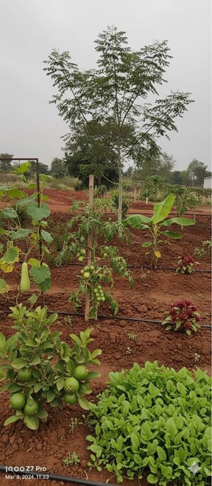  Plot For Sale in Shankarpalli