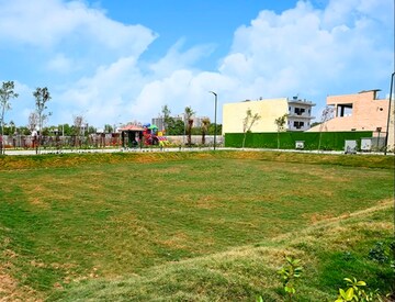  Plot For Sale in Sector 81