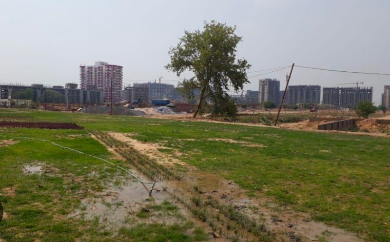 undefined, sector 81  133 Sq.Yd. Plot In Sector 81 Faridabad 9499105