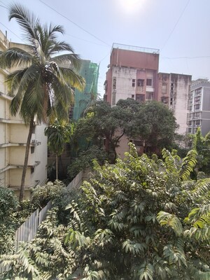 1 BHK Apartment – Exterior View View at Ic Colony - for Rent