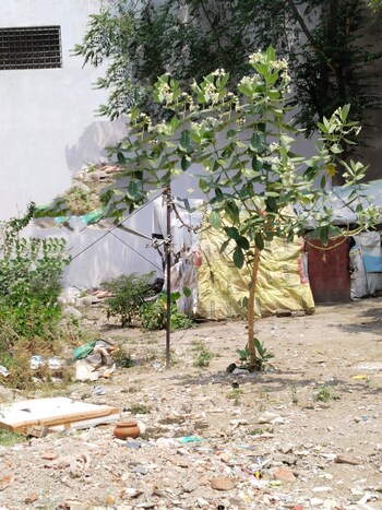Plot for Sale in Gomti Nagar, Lucknow