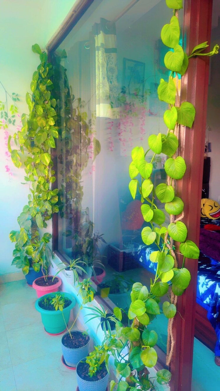 Garden, pir machalla 4 Bedroom 2210 Sq.Ft. Apartment In Pir Machalla Zirakpur 9499475