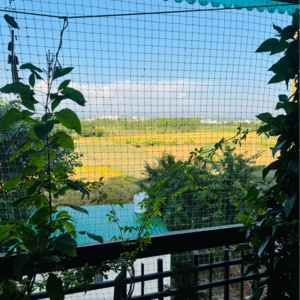 4 BHK Apartment – Garden View at Pir Machalla - for Sale