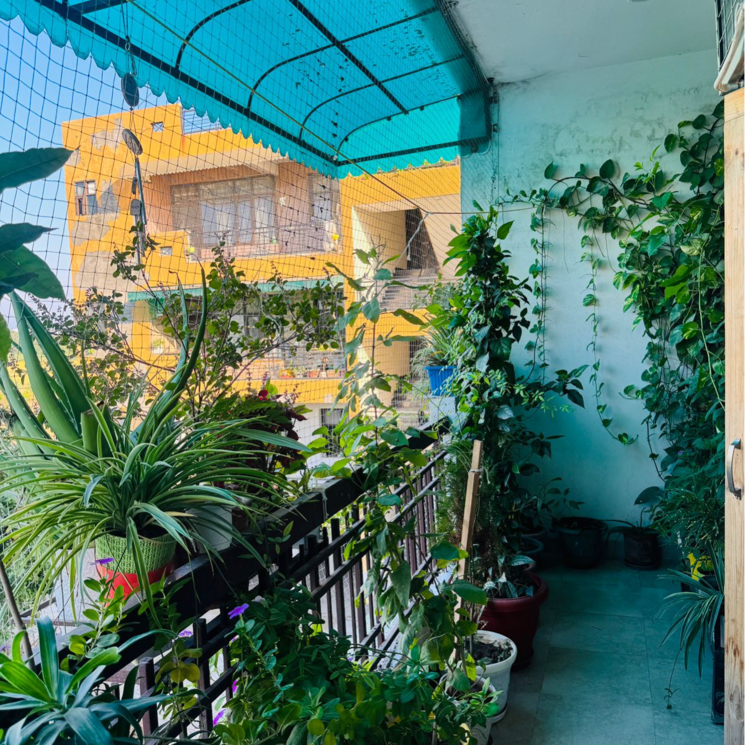 Exterior View, pir machalla 4 Bedroom 2210 Sq.Ft. Apartment In Pir Machalla Zirakpur 9499475