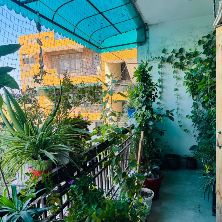 Exterior View, pir machalla 4 Bedroom 2210 Sq.Ft. Apartment In Pir Machalla Zirakpur 9499475