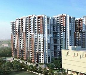 3 BHK Apartment For Sale in Salarpuria Sattva Divinity