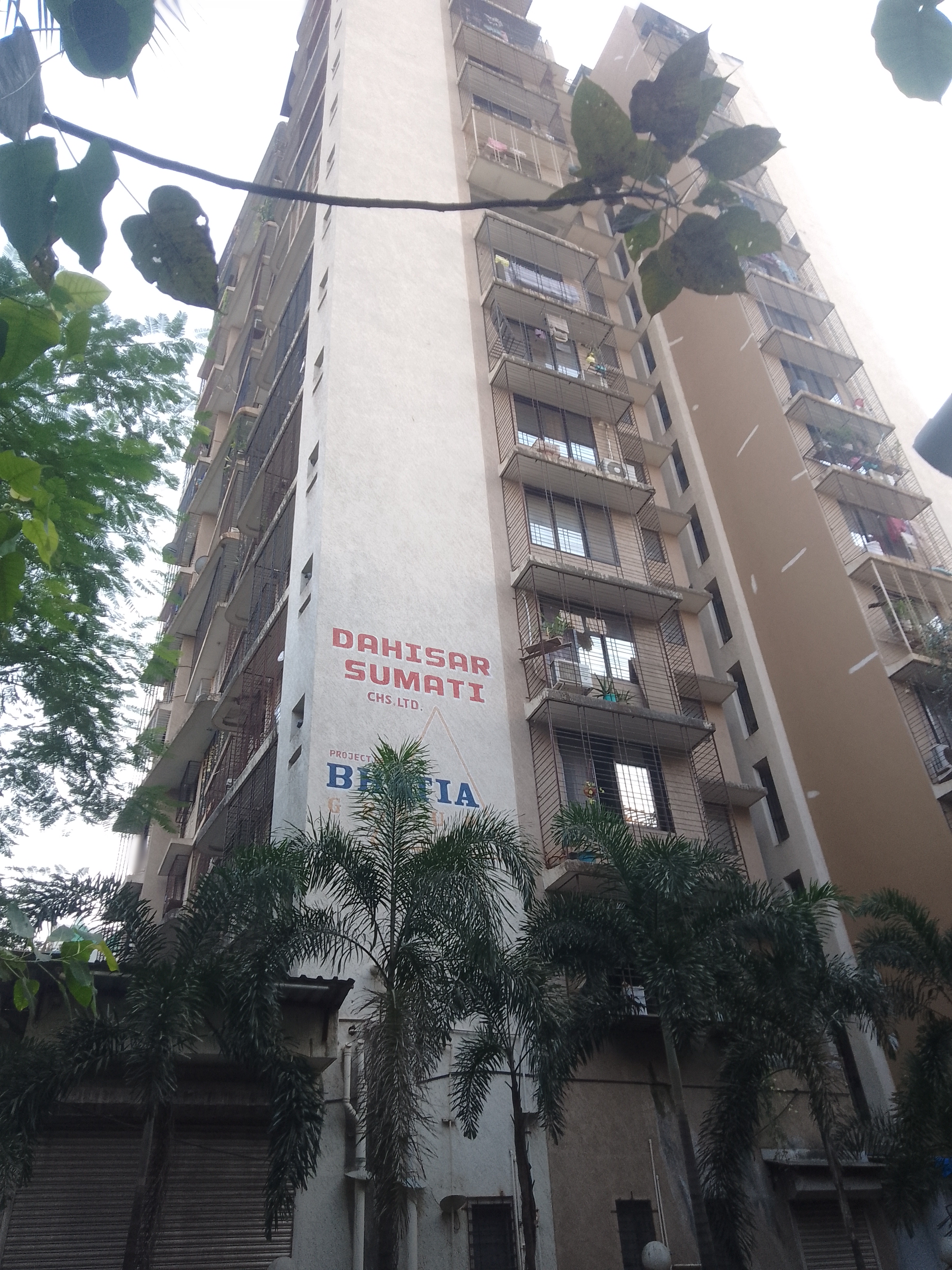 1 BHK Apartment For Rent in Bhatia Dahisar Sumati CHS