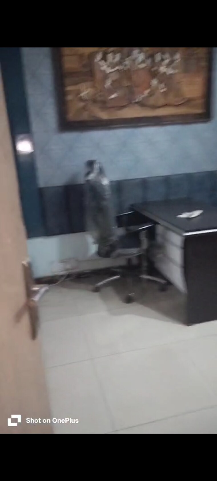 Living Room, ip extension 3 Bedroom 1250 Sq.Ft. Apartment In Ip Extension Delhi 9499847