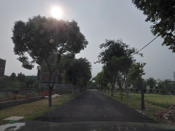 Garden, zestha-bhagirath-vihar-residency  200 Sq.Yd. Plot In Sector 27 Yamuna Expressway Greater Noida 9499961