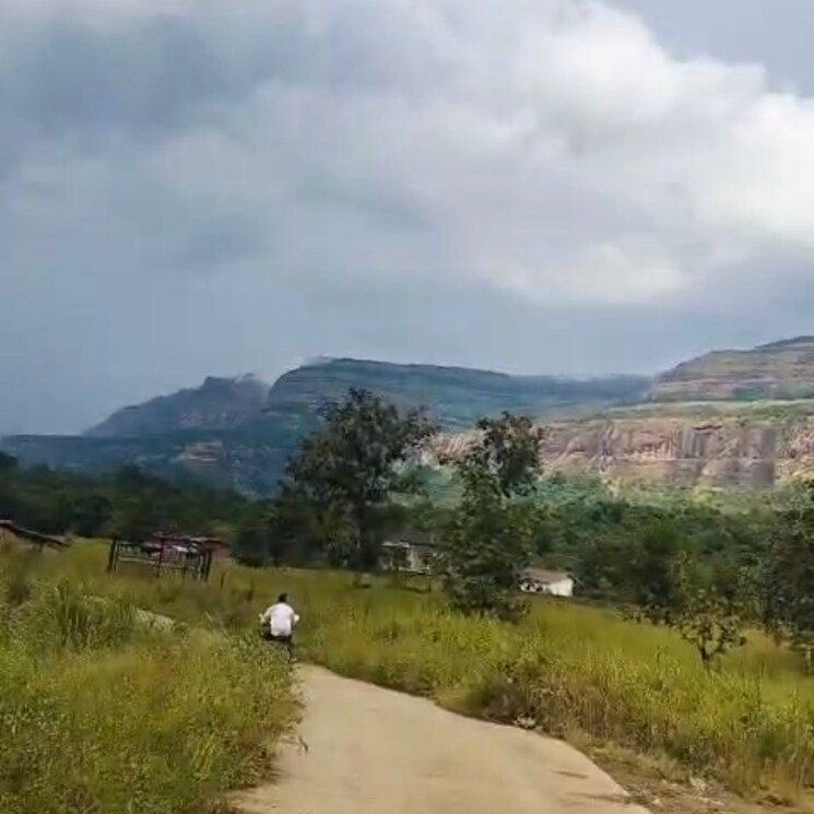 undefined, pali  7 Acre Plot In Pali Thane 9500030