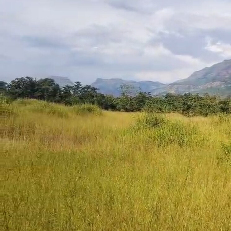 undefined, pali  7 Acre Plot In Pali Thane 9500030