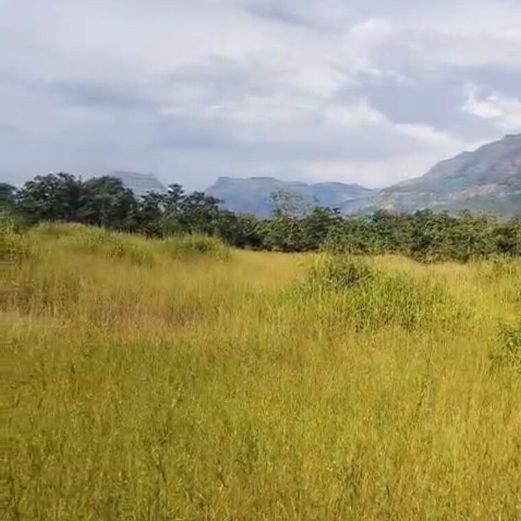 undefined, pali  7 Acre Plot In Pali Thane 9500030