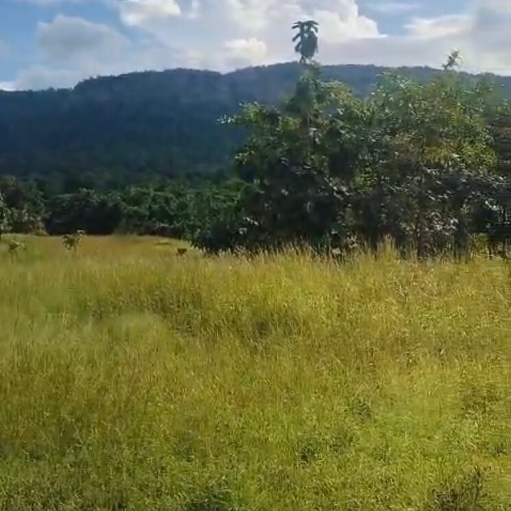 undefined, pali  7 Acre Plot In Pali Thane 9500030