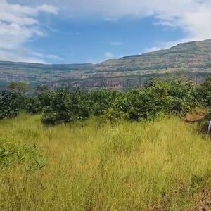 Plot Area in  Plot at Pali – for Sale