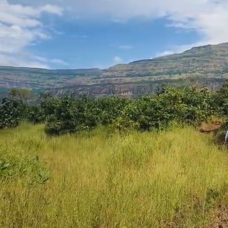 undefined, pali  7 Acre Plot In Pali Thane 9500030