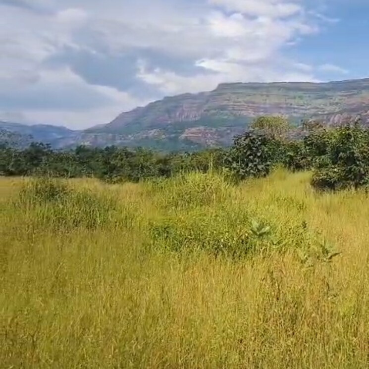 undefined, pali  7 Acre Plot In Pali Thane 9500030