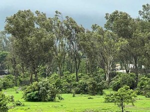 Plot Area in 4 BHK Apartment at Varsoli – for Sale