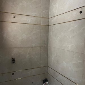 Bathroom in 4 BHK Independent House at Sunny Enclave – for Sale