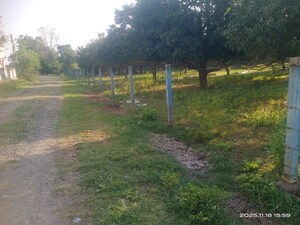  Plot For Sale in Padra Road