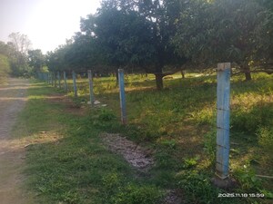  Plot – Garden View at Padra Road - for Sale