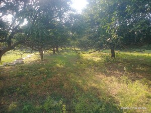 Plot Area in  Plot at Padra Road – for Sale