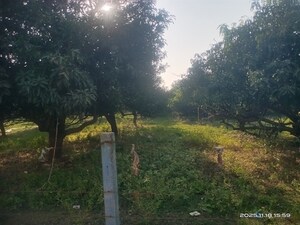  Plot – Garden View at Padra Road - for Sale