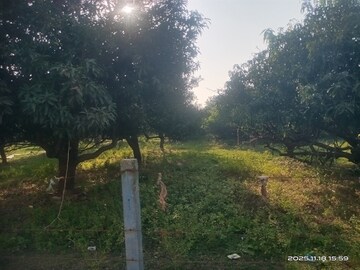  Plot – Garden View at Padra Road - for Sale