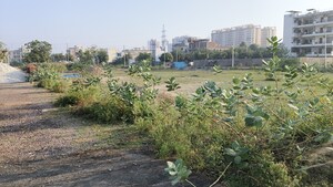 Plot Area in  Plot at BPTP Parklands, Sector 76 – for Sale