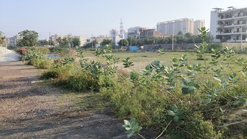 Plot Area in  Plot at BPTP Parklands, Sector 76 – for Sale