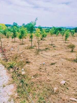  Plot For Sale in Kamandoddi