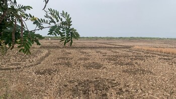 Plot for Sale in Uran, Navi Mumbai