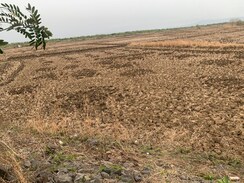 Plot For Sale in Investment Plot 