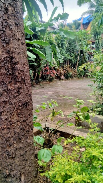 1 BHK Apartment For Sale in Bilquees CHS, Jogeshwari East