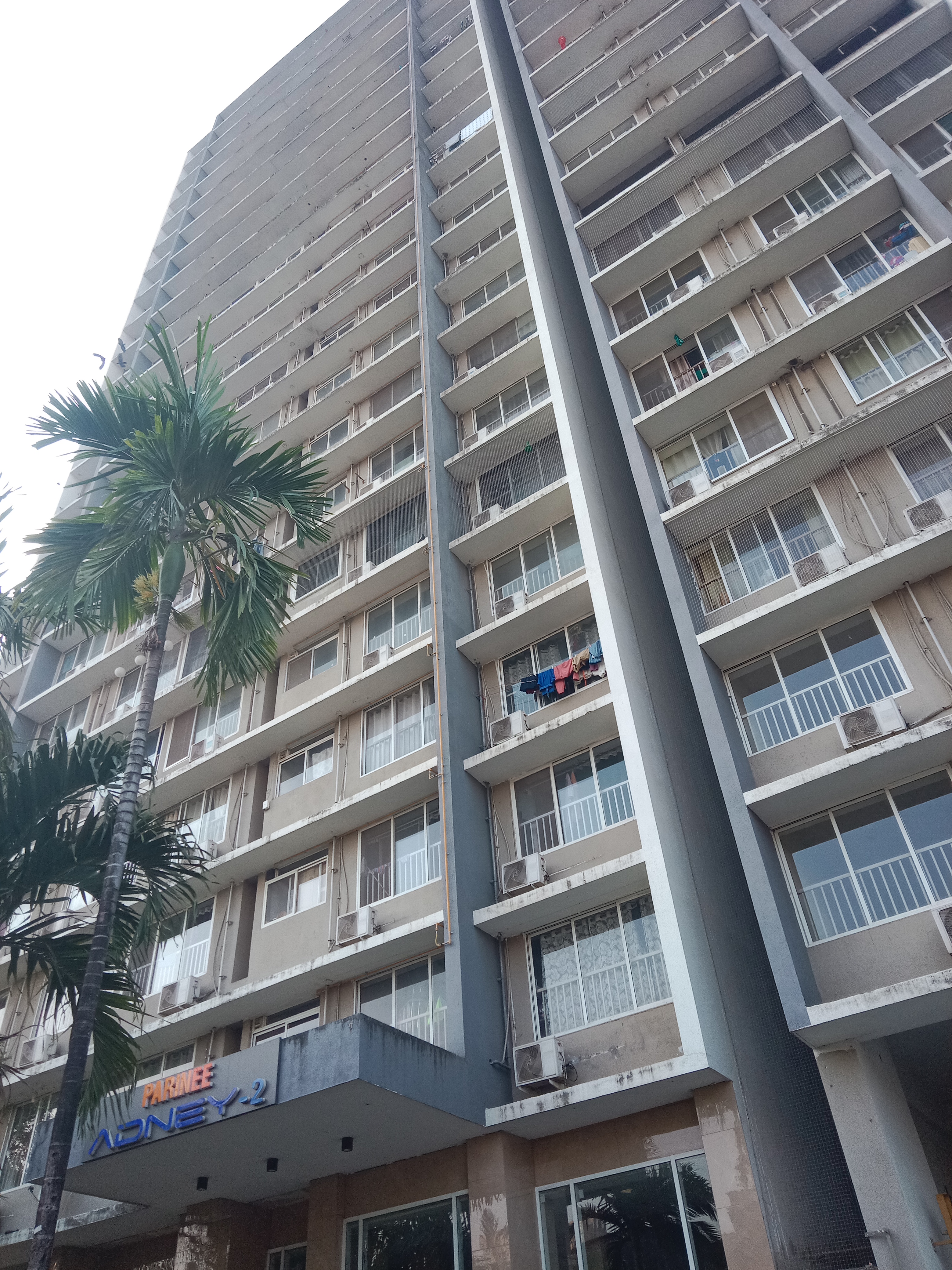 2 BHK Apartment For Rent in Parinee Adney